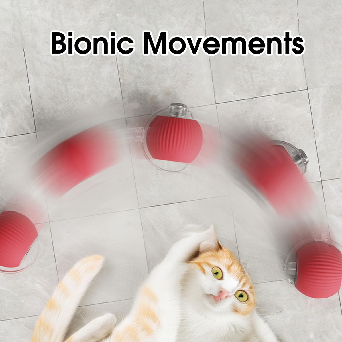 Smart Chase Pet Toy Ball
