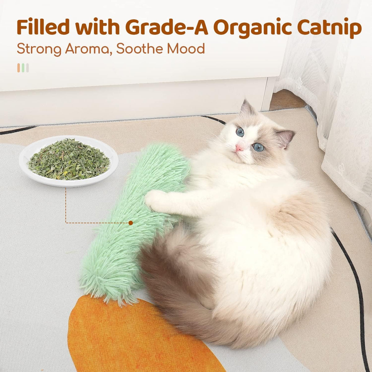Cat Toys Pillows