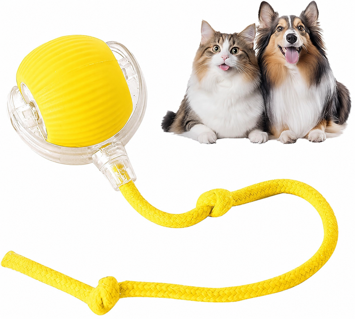 Smart Chase Pet Toy Ball