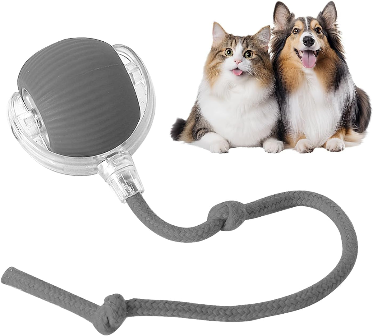 Smart Chase Pet Toy Ball