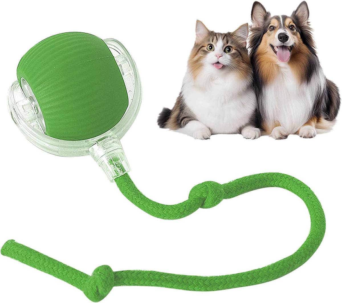 Smart Chase Pet Toy Ball